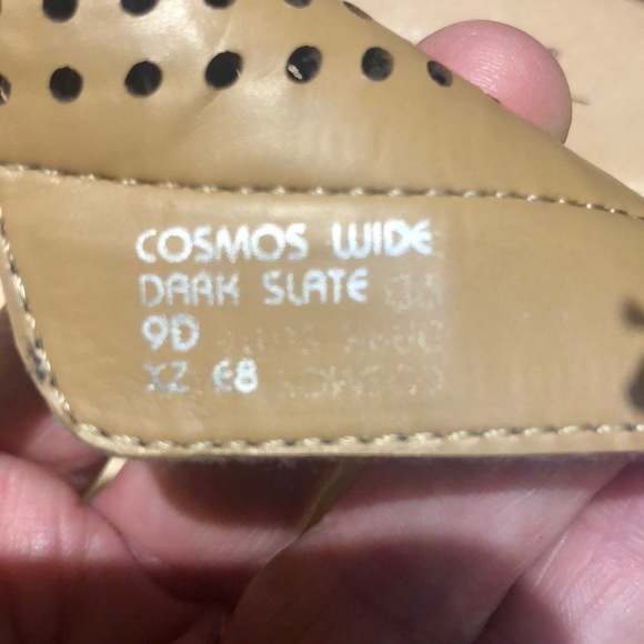 earth cosmos wedge